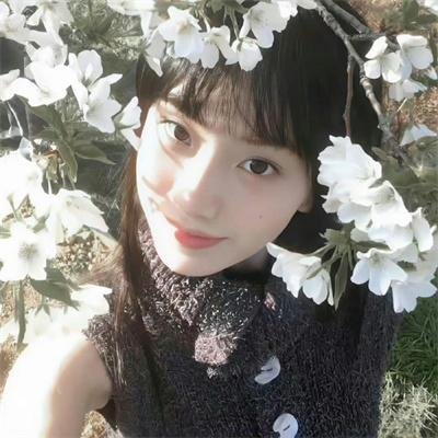 鼠洞里的好朋友