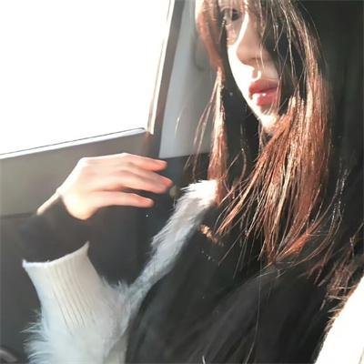 猫咪心动奇迹